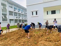 KHỞI ĐỘNG CHO VƯỜN CÂY THUỐC NAM