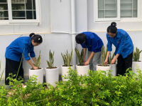 Đoàn Trường Phổ thông Dân tộc nội trú tỉnh Cao Bằng tích cực hưởng ứng Ngày Môi trường thế giới và Tháng hành động vì môi trường năm 2025