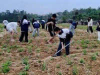 Trường PT Dân tộc nội trú tỉnh Cao Bằng đẩy mạnh hoạt động giáo dục  kỹ năng sống gắn với tăng gia sản xuất tại quỹ đất trống