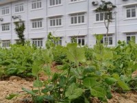 Giờ học đặc biệt  trên mảnh vườn xanh của học sinh PT DTNT tỉnh Cao Bằng