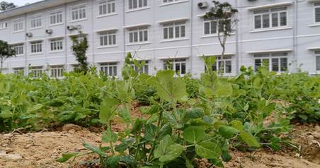 Giờ học đặc biệt  trên mảnh vườn xanh của học sinh PT DTNT tỉnh Cao Bằng